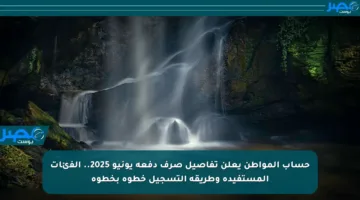 حساب المواطن يعلن تفاصيل صرف دفعة يونيو 2025.. الفئات المستفيدة وطريقة التسجيل خطوة بخطوة